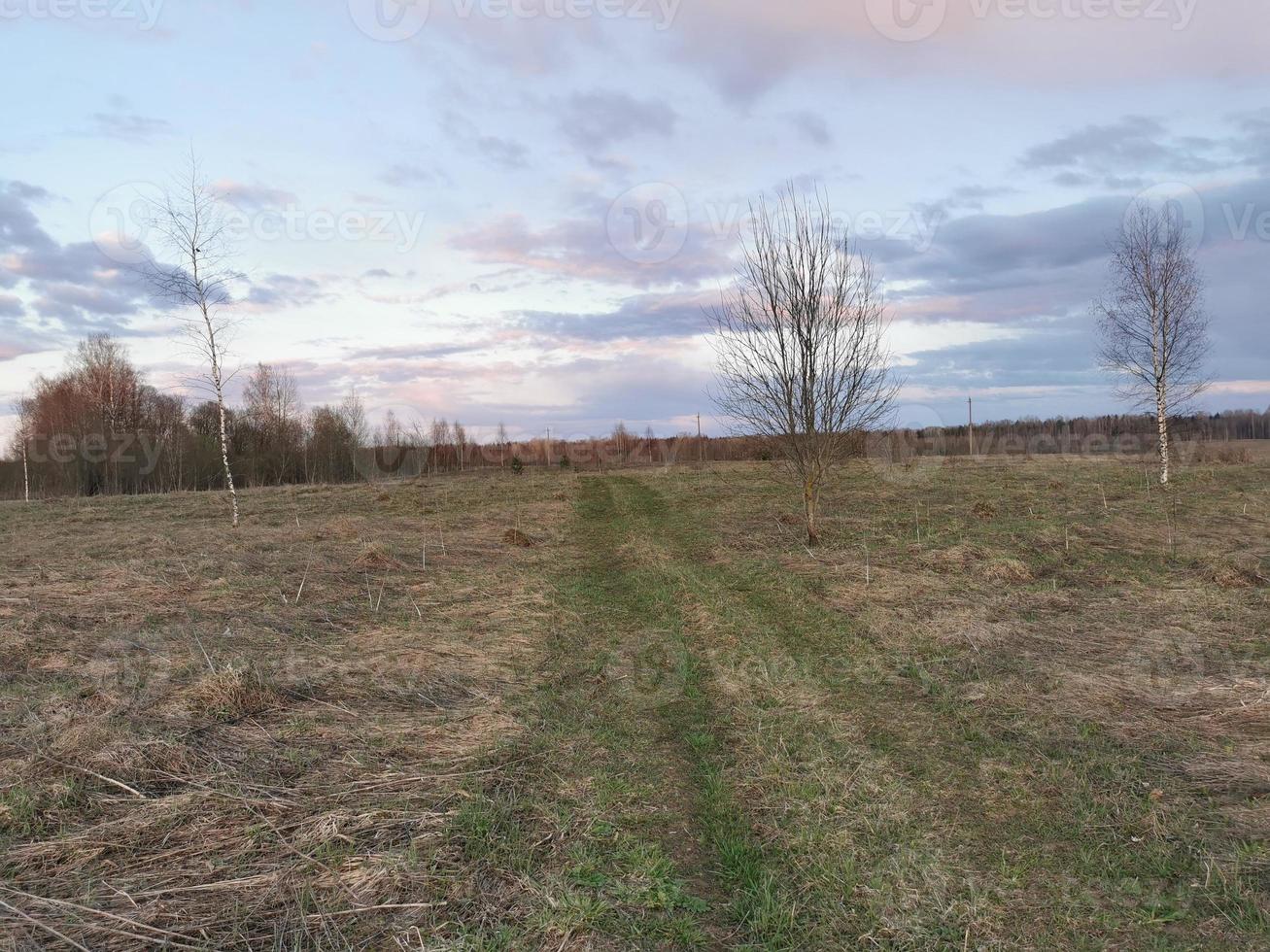 spring road through the field to the river photo