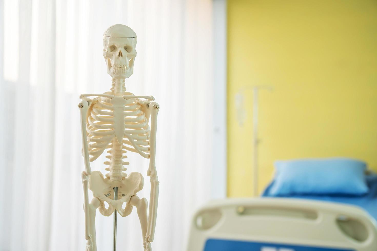 Artificial human skeleton model on table near patient bed an examination room in a hospital photo