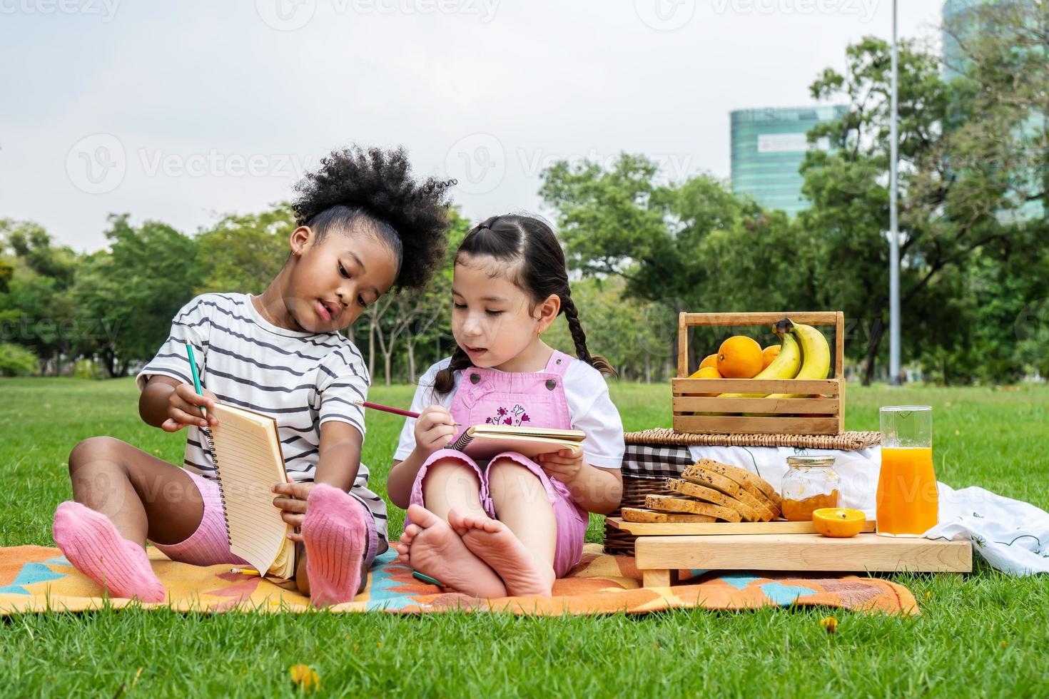 Two African American little girl using pencil writing and doing homework on notebook together while sitting and lying on mat outdoor in the park photo
