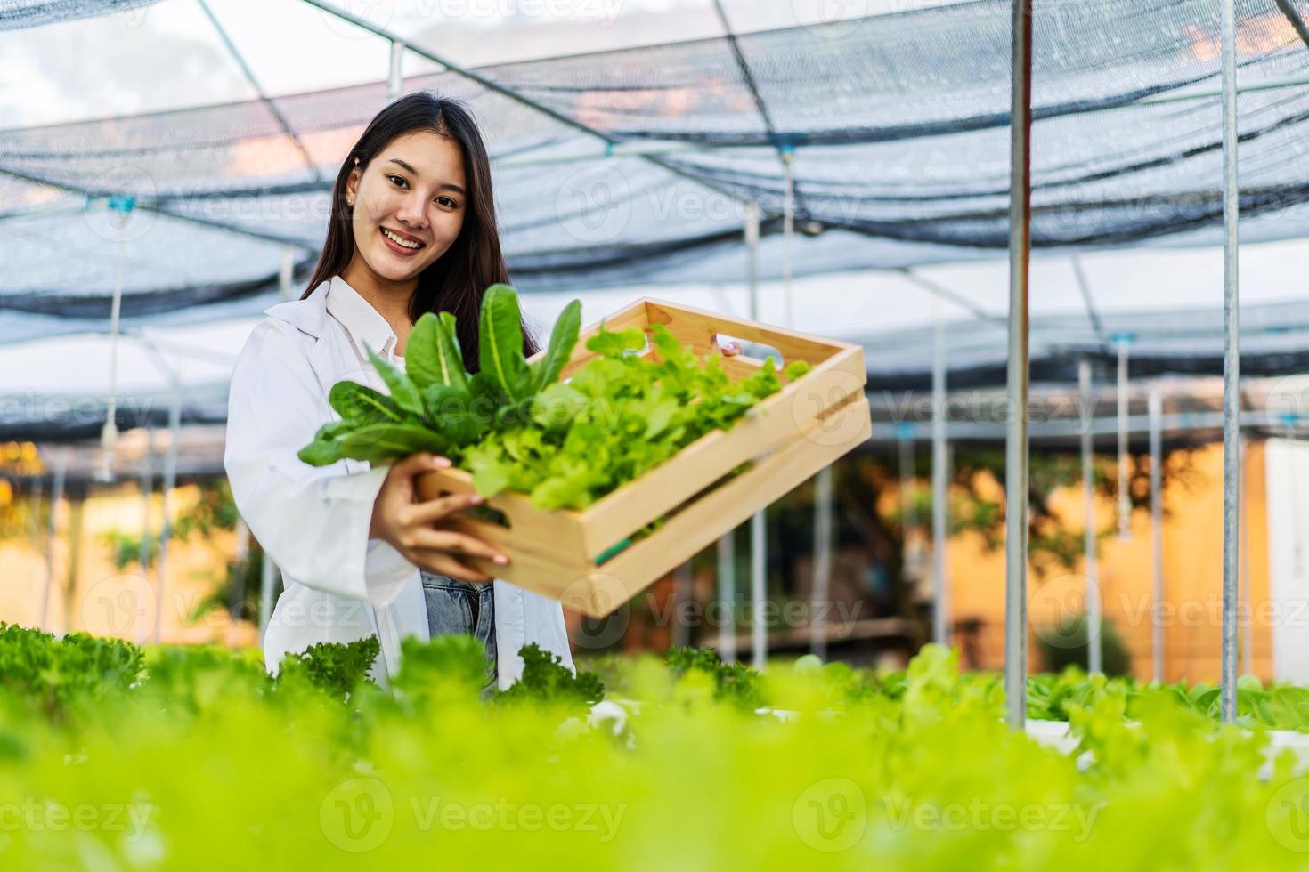 Mujer científica asiática que sostiene una caja de madera con ensalada orgánica de vegetales hidropónicos mientras trabaja dentro de una gran granja, lo que resulta en vegetales orgánicos que el mercado necesita. foto