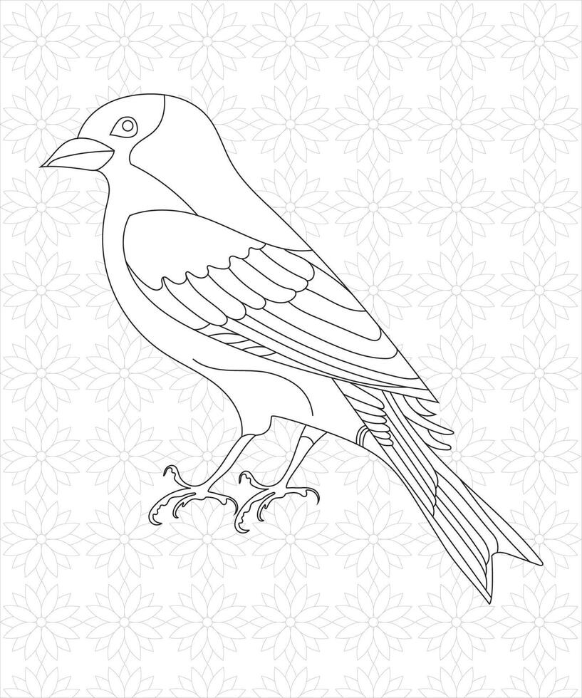 Birds Coloring Pages For Kids vector