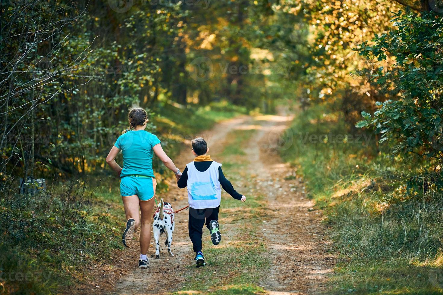 Canicross dog mushing race, Dalmatian dog running with people, family jogging outdoors photo
