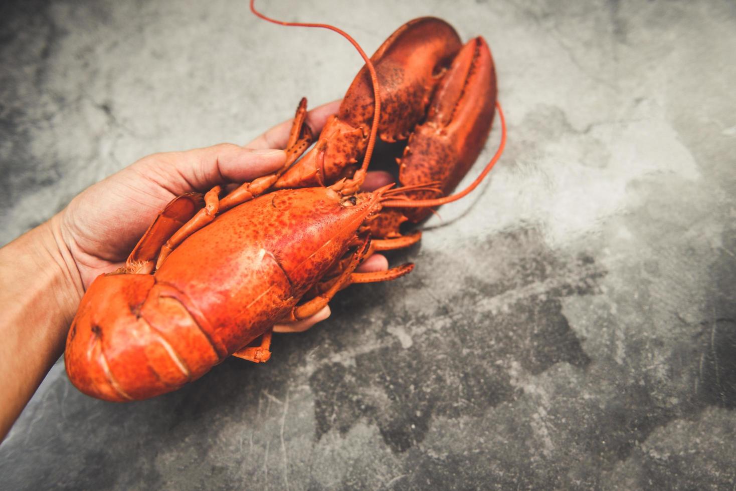 comida fresca de langosta roja a mano y fondo de plato negro para langosta hervida cocida foto