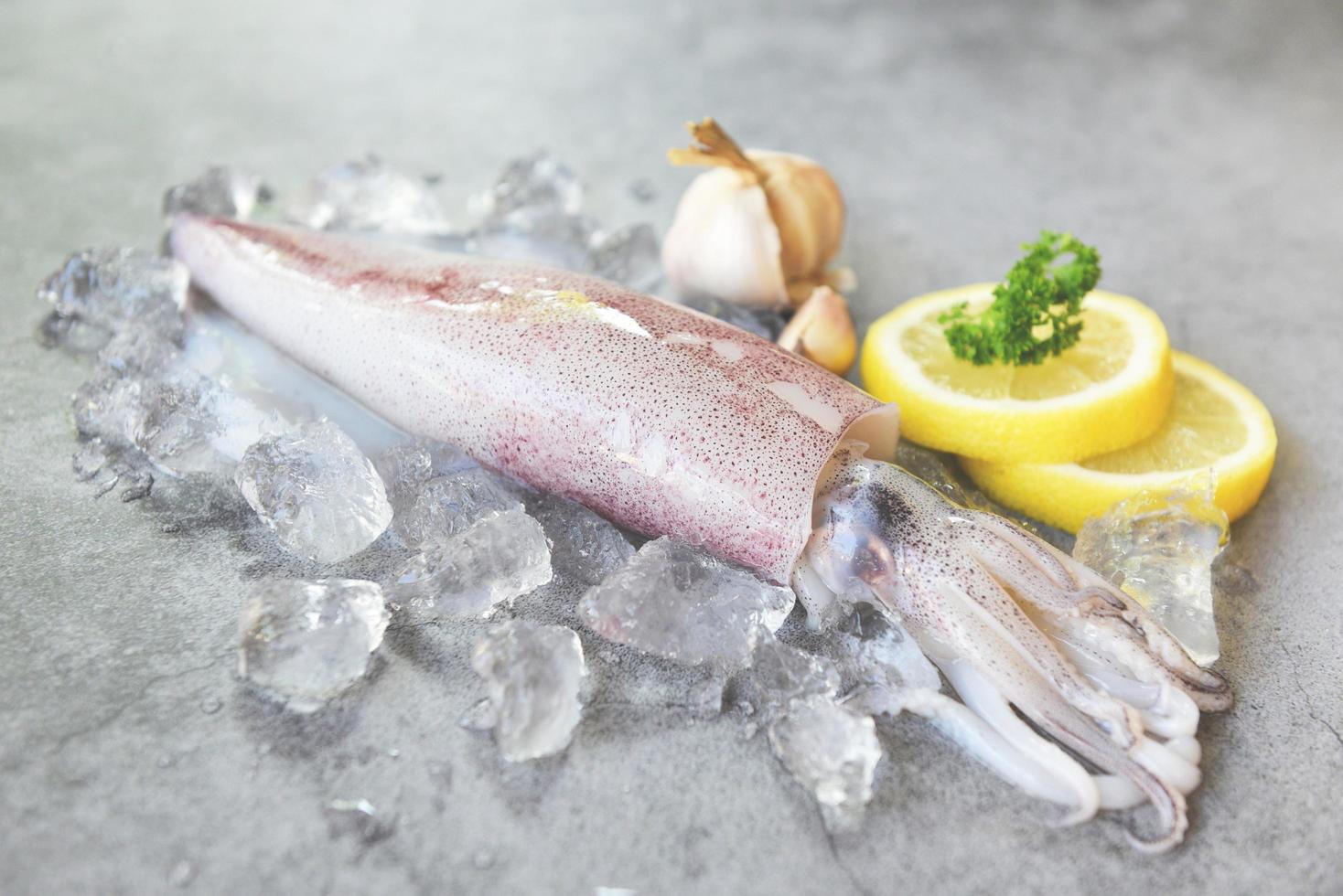 Raw squid on ice with salad spices lemon garlic on white plate background - fresh squids octopus or cuttlefish for cooked food at restaurant or seafood market photo