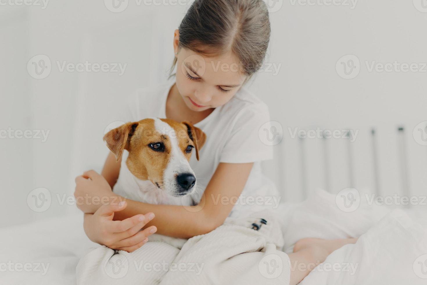 Cropped image of caring little girl in white t shirt, cuddles small pedigree dog, expresses big love to animal, poses on bed in white room, enjoys domestic atmosphere. Child with favourite pet photo