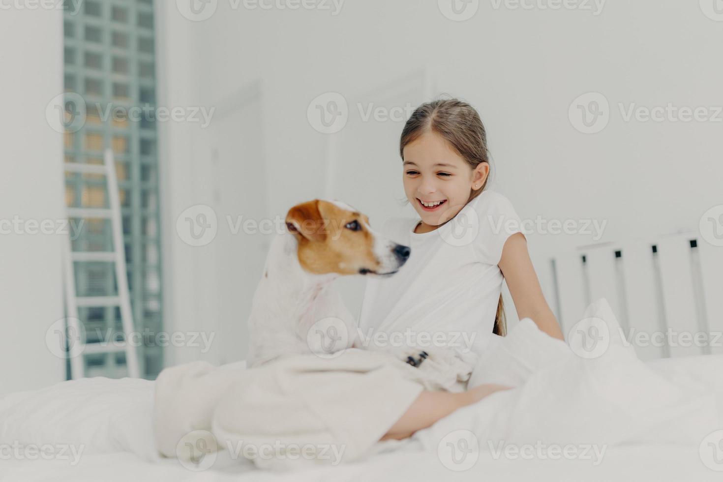 Positive little girl plays with pedigree pet, dressed in white pyjamas, spends leisure time in bed, has fun at bedroom smiles happily. Dog poses near its small kid owner. Children, animals and leisure photo