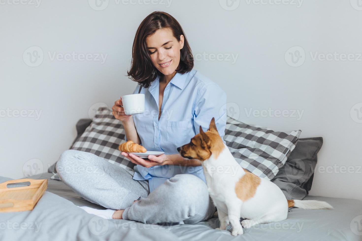 Pleasant looking smiling female model in pyjamas has breakfast in bed, enjoys spare time and good morning, looks at her favourite dog, going to have walk outside. People, rest, home concept. photo