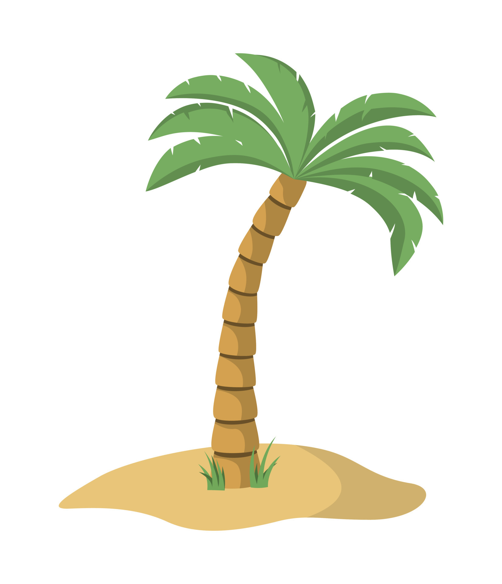 Cartoon palm tree. Isolated on white background. Single palm clipart