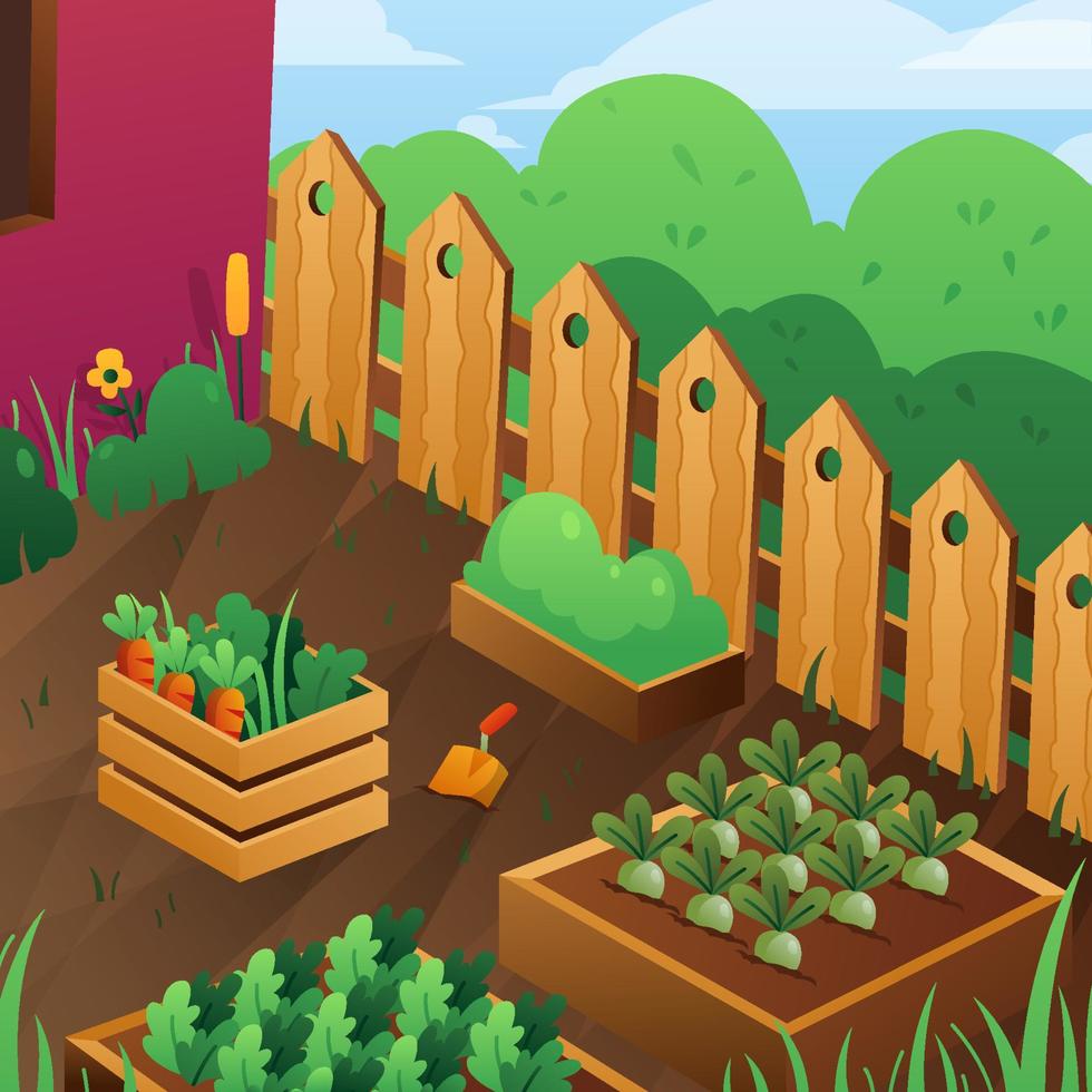 Home Garden for Growing Vegetables vector