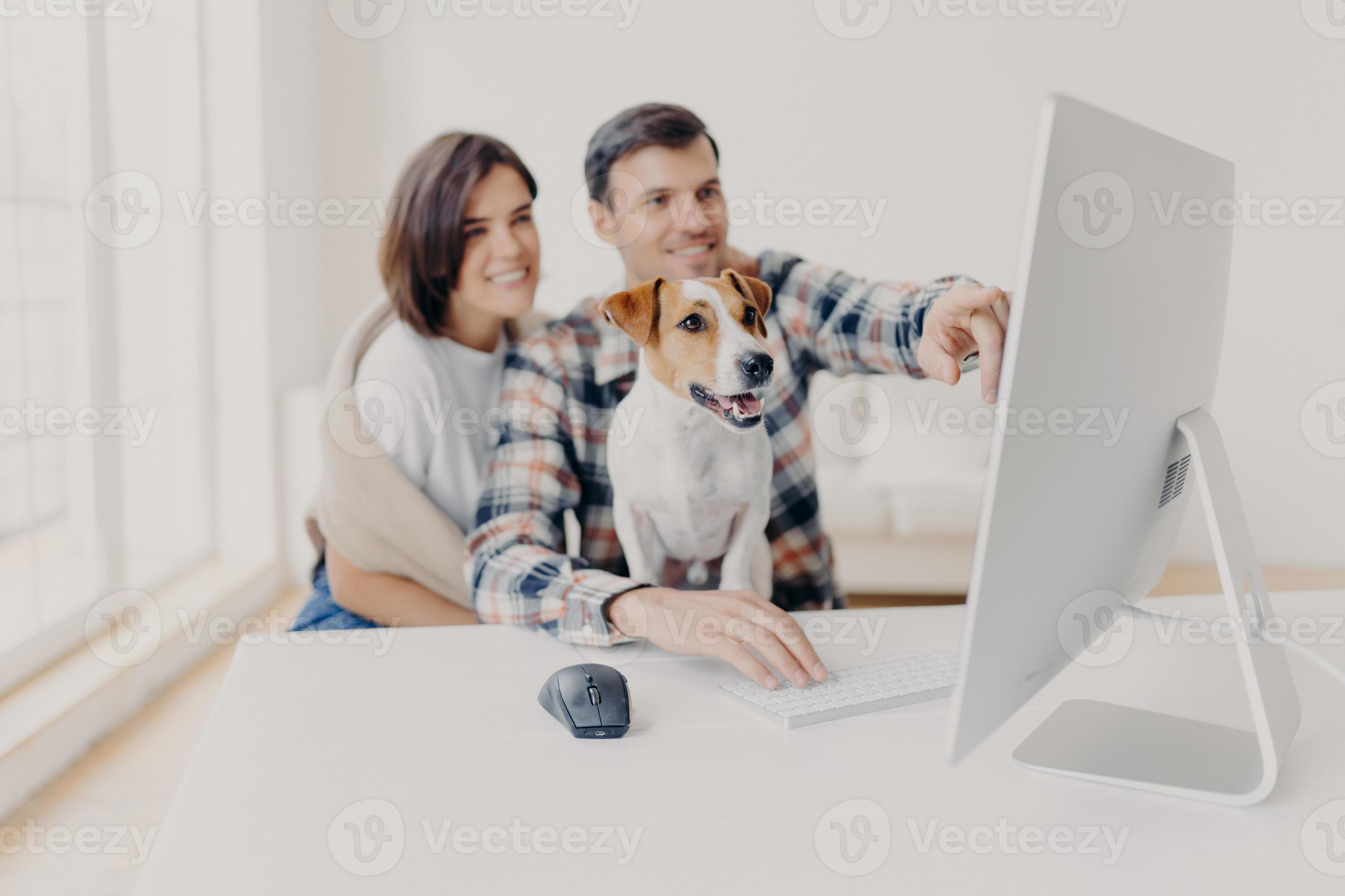 Pleased young woman and man watch computer content, point into screen of  monitor, watch funny video, focus on dog, pose at white desktop, search  movie on website, develop new startup project 8068733
