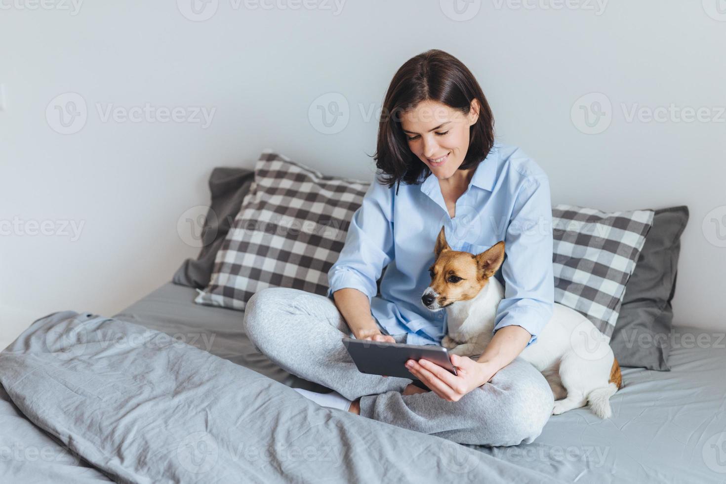 Domestic cozy atmosphere. Beatiful female model wears pyjmas, sits on bedclothes in bedroom with her favourite pet, messages with frineds via tablet computer, enjoys free internet connection photo