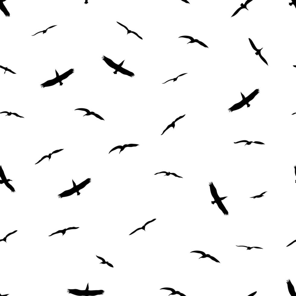 pájaro inconsútil en el cielo aislado fondo blanco ilustración vectorial vector