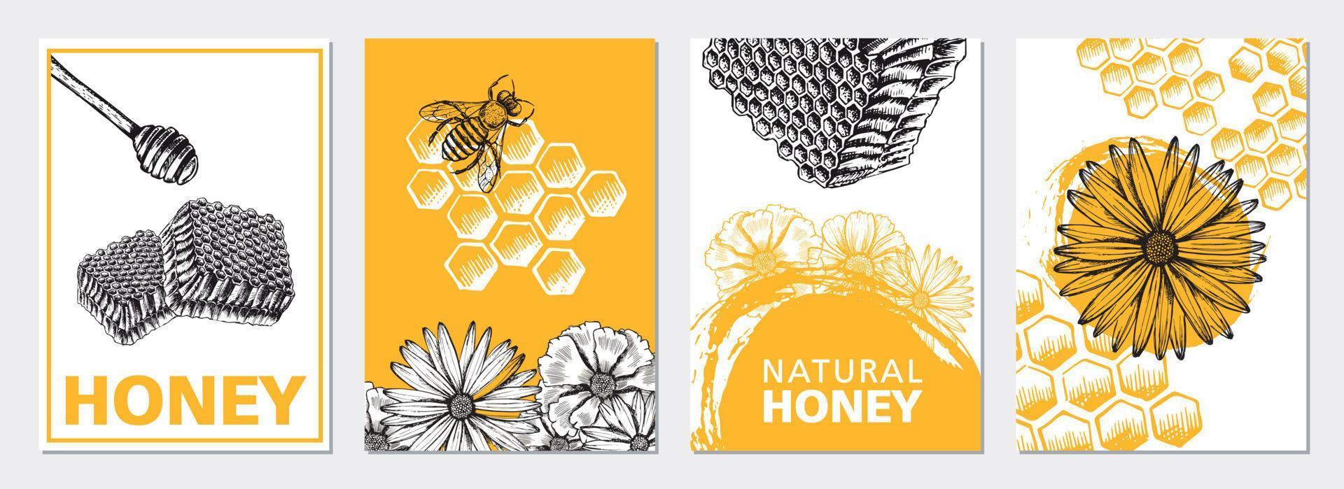 Honey set. Hand drawn illustration. vector