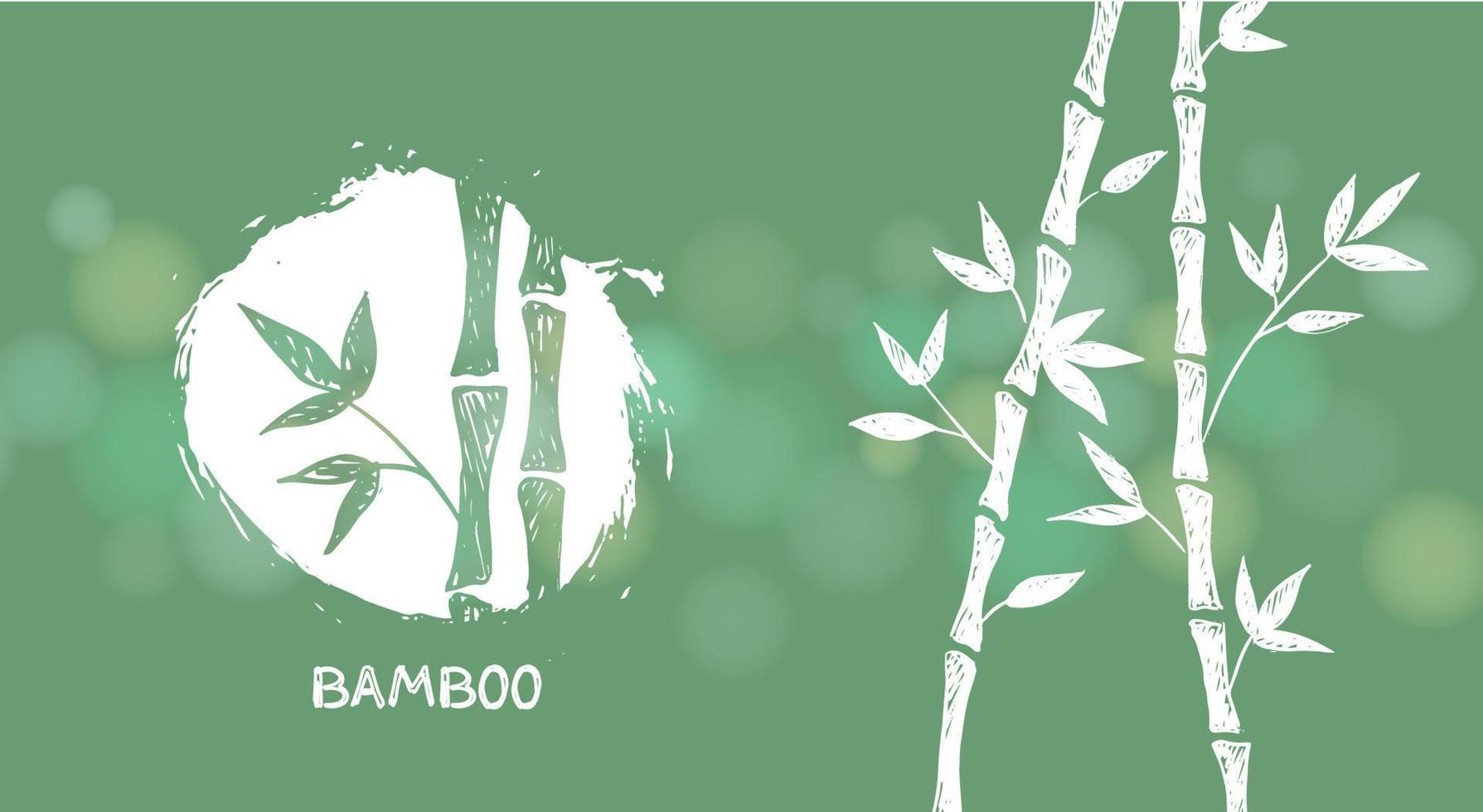 Bamboo tree. Hand drawn style. Vector illustrations.