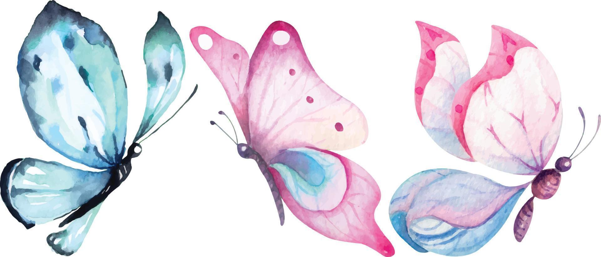 butterfly painted with watercolors 10 vector