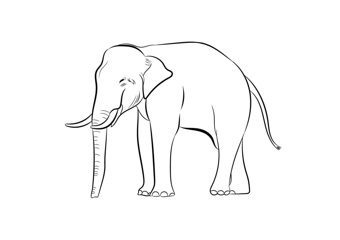 graphics drawing elephant Asia outline transparent black and white transparent isolated white background vector illustration