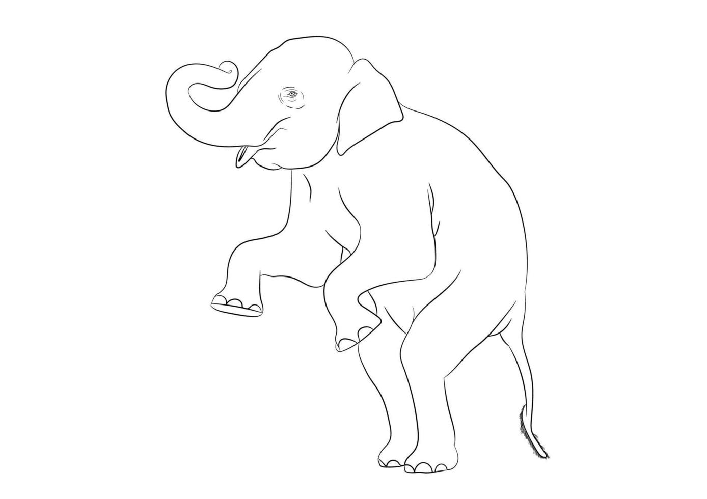 contorno de imagen blanca elefante asia de pie, ilustración de contorno vectorial de diseño gráfico aislada en fondo blanco vector