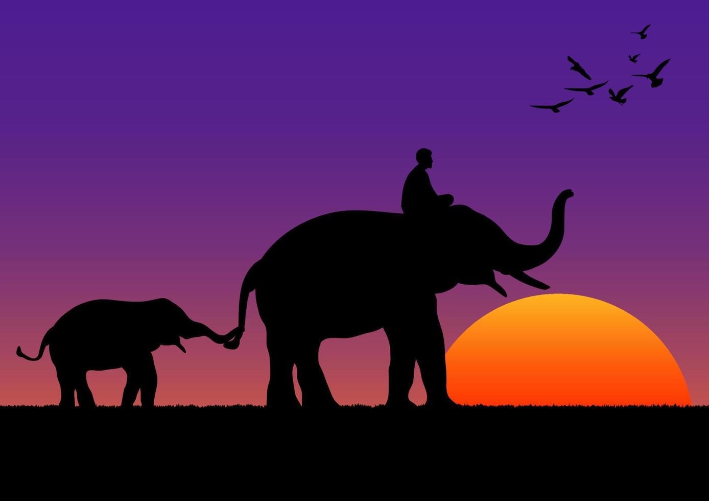 imagen de silueta elefante negro con elefante mahout caminando con fondo de montaña y puesta de sol luz de la tarde ilustración vectorial vector