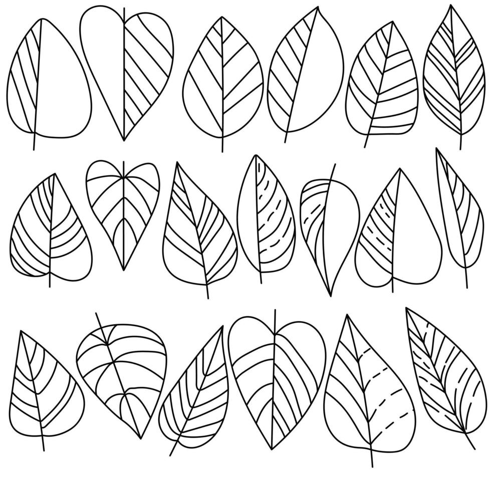 Set of outline flaws with different shading, fantasy plant parts for design and creativity vector