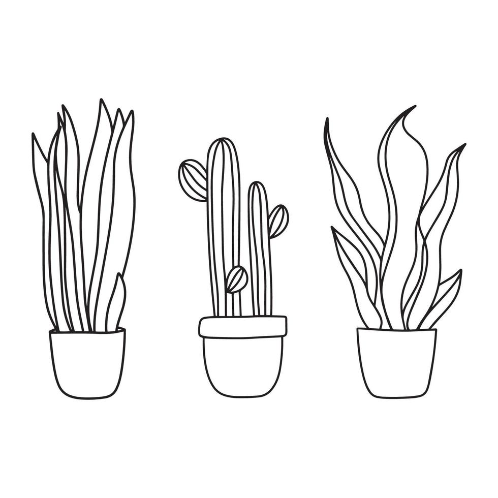 Home snake Plants set, in pots. Cactus, snake plant, sansevieria isolated botanical design element vector