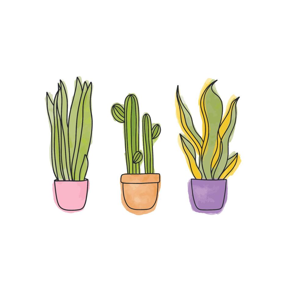 Home snake Plants set, in pots. Cactus, snake plant, sansevieria isolated botanical design element vector