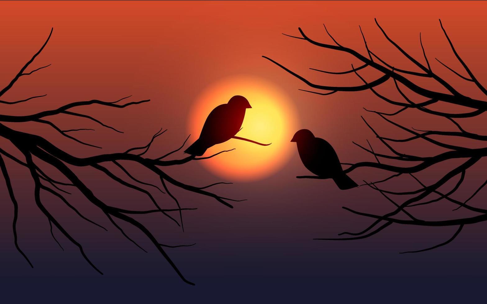 Birds silhouette on sunset background vector