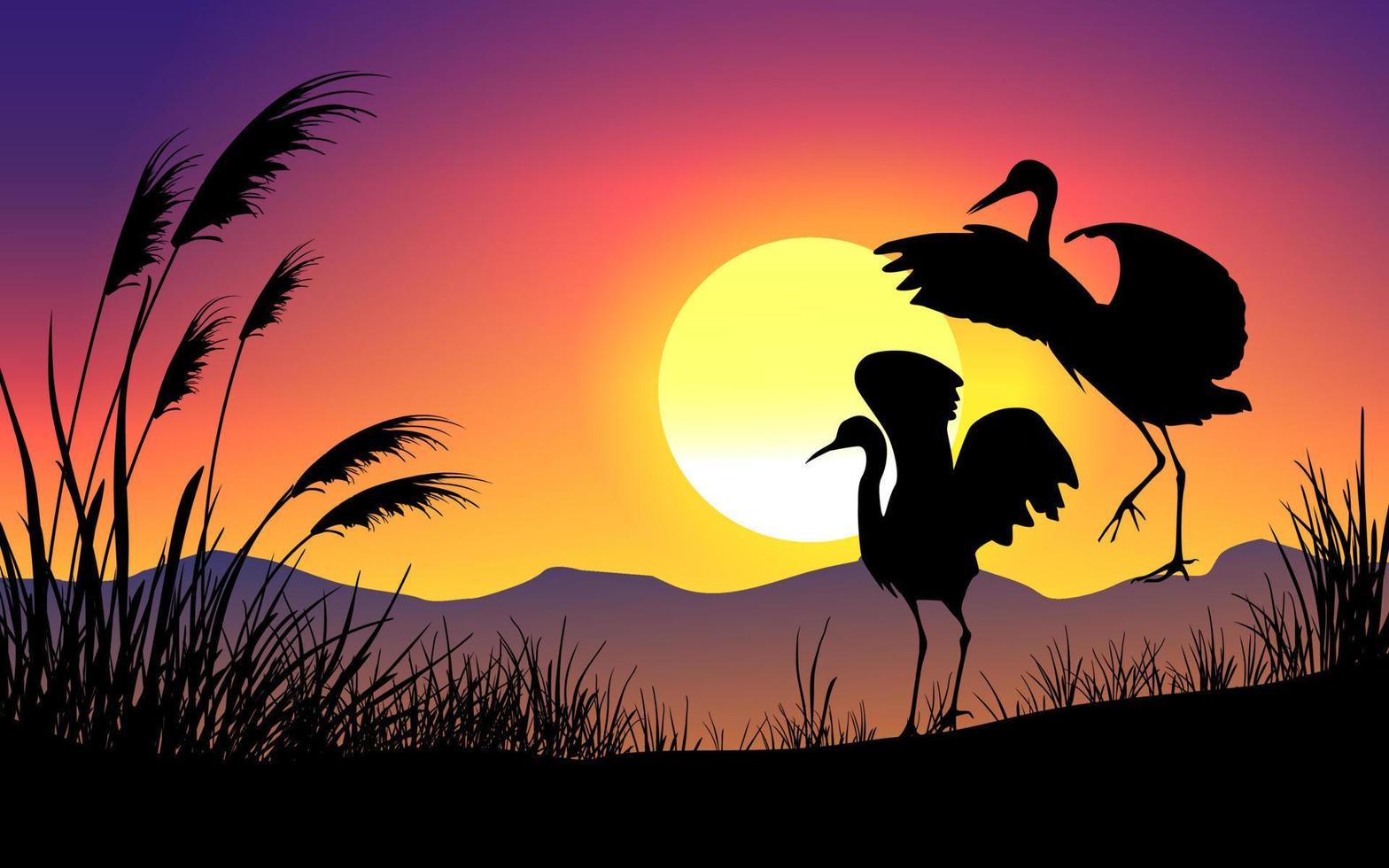 Birds silhouette on sunset nature background vector