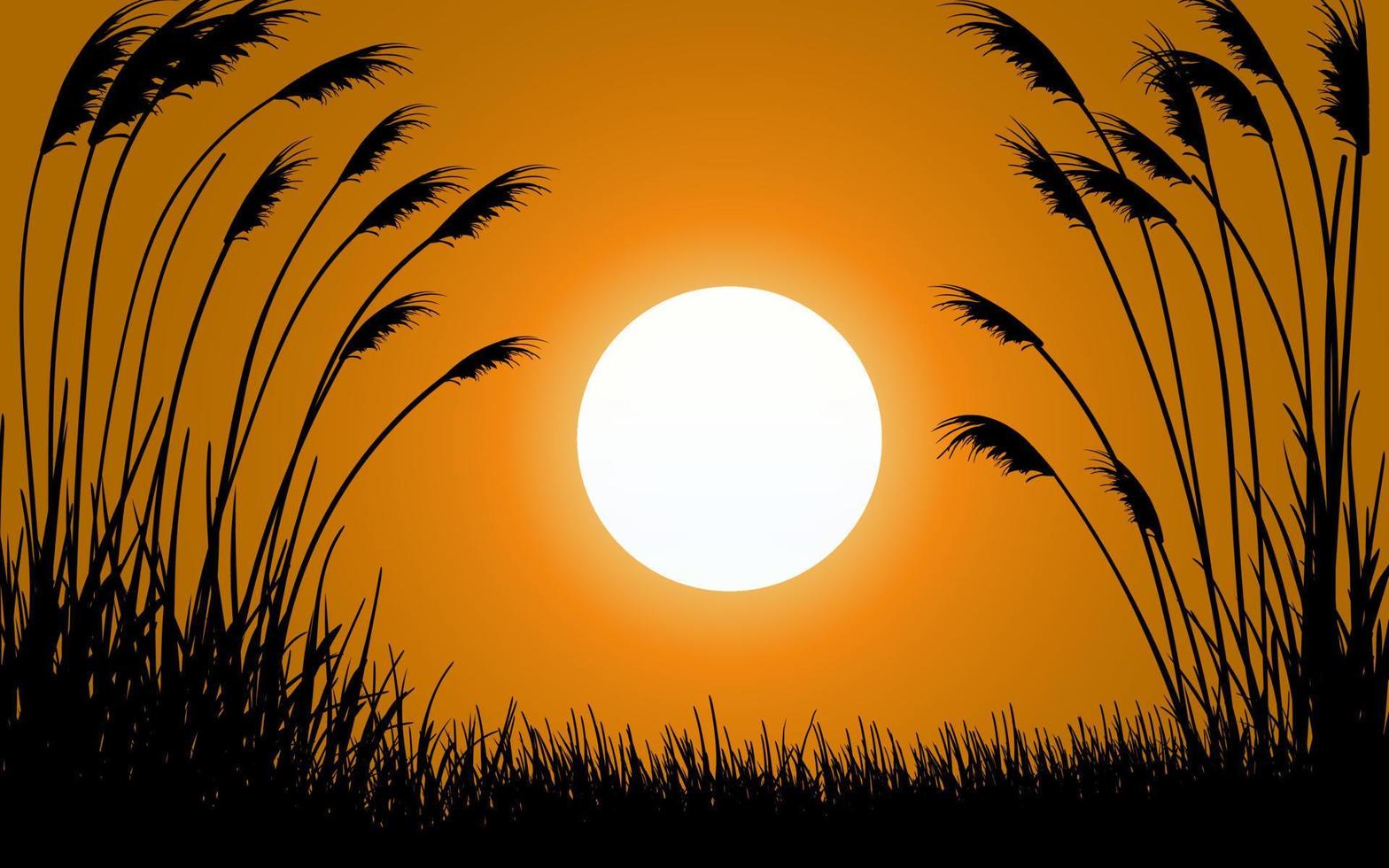 Grass in silhouette sunset nature background vector