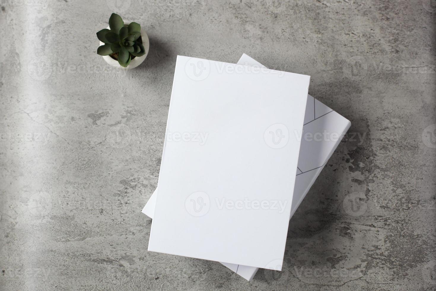 High angle view white cover book with house plant on cement background for mock up photo