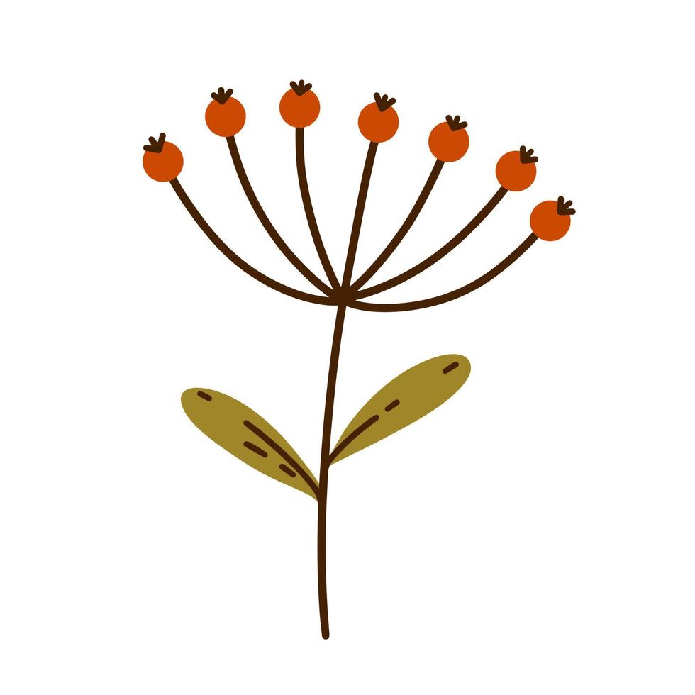 planta con bayas rojas, hojas verdes. inflorescencia de paraguas con frutas frescas del jardín. clipart botánico dibujado a mano aislado en blanco. manojo de icono de vector de bayas de otoño. estilo de dibujos animados plana