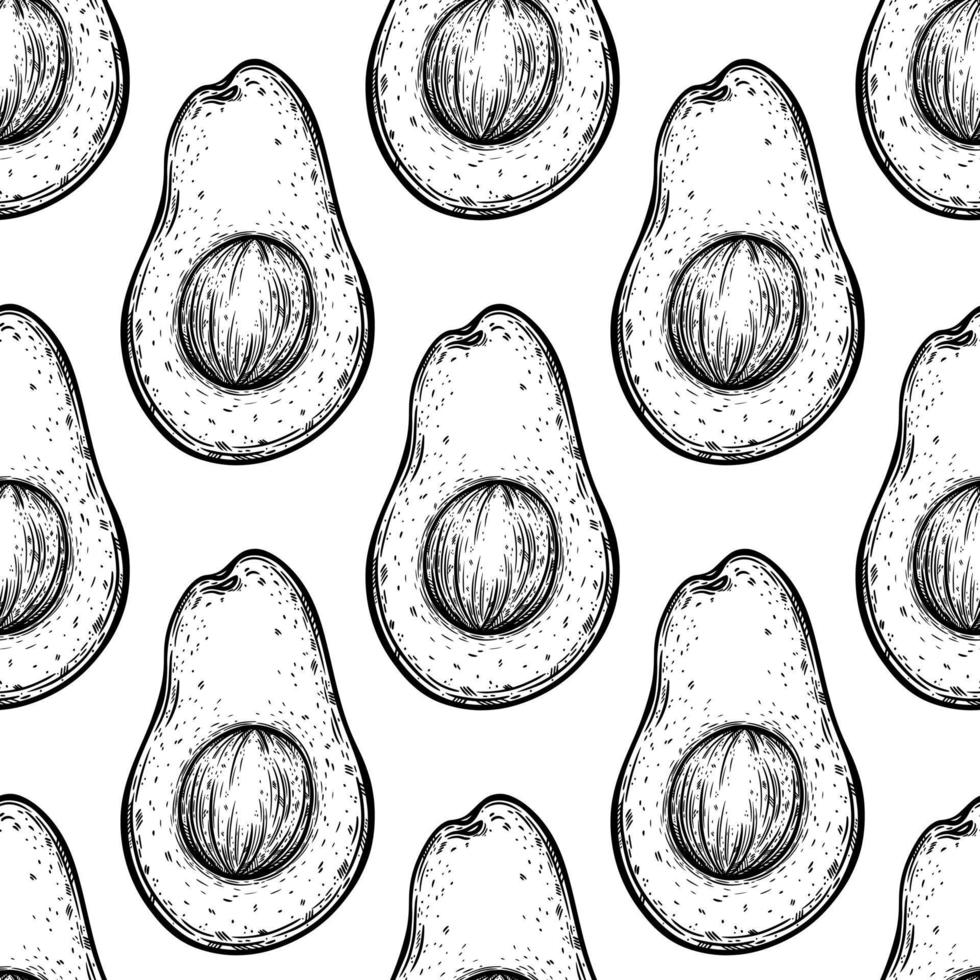 Avocado seamless vector pattern. Half of garden summer fruit with seed, ripe pulp. Hand drawn black and white tropical food sketch. Monochrome outline of exotic vegetable. Engraving style