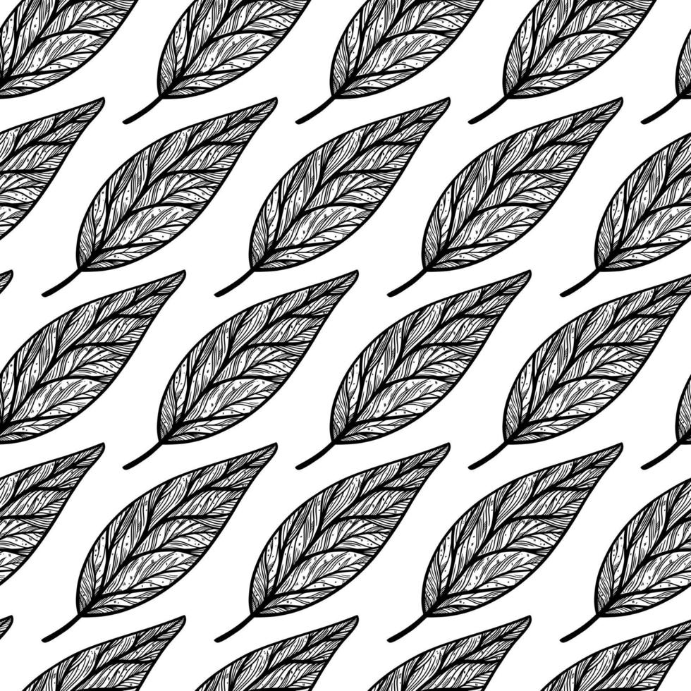 Leaves seamless vector pattern. Botanical element with veins on the stem. Monochrome sketch of a garden plant. Avocado tree leaf outline. Hand drawn illustration isolated on white background
