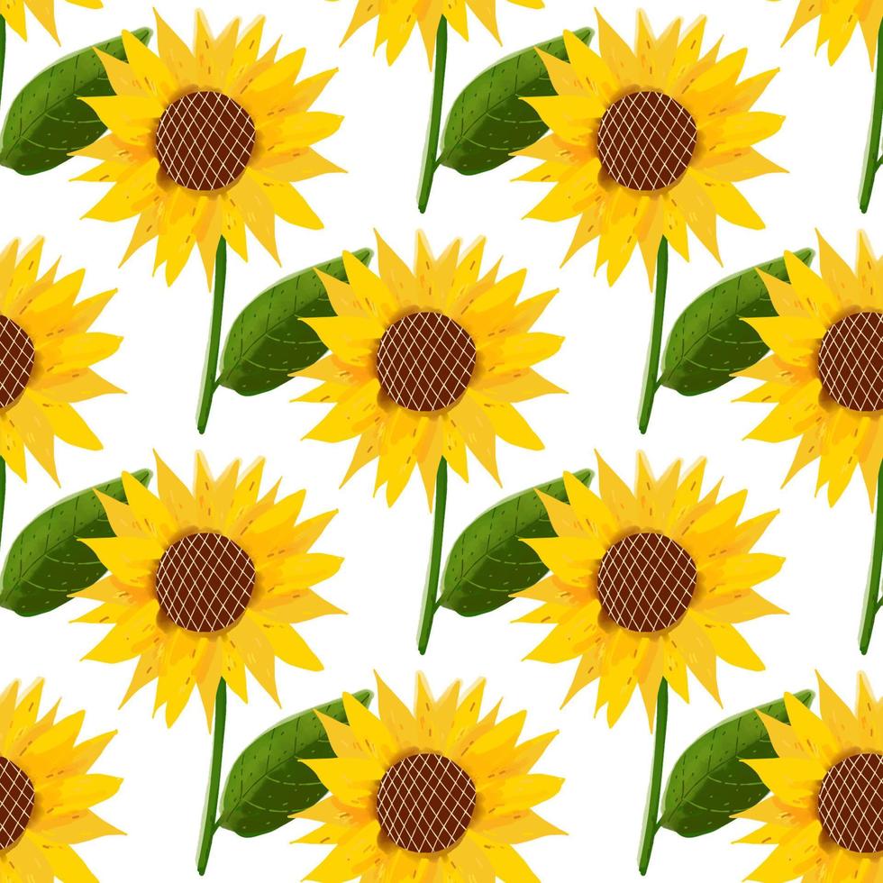 Seamless pattern with sunflower flower illustration on white background vector
