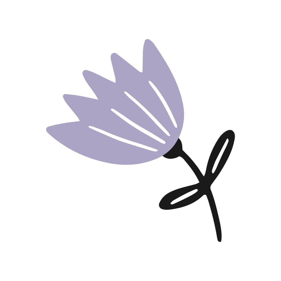 Flower in cartoon doodle style. vector isolated floral illustration.