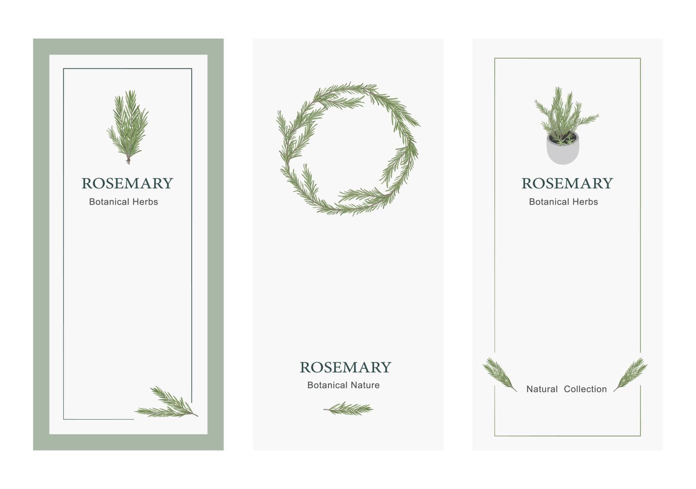 Set of rosemary floral invitation template banner vector