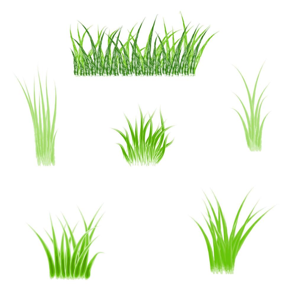 hierba acuarela, hierba verde vector