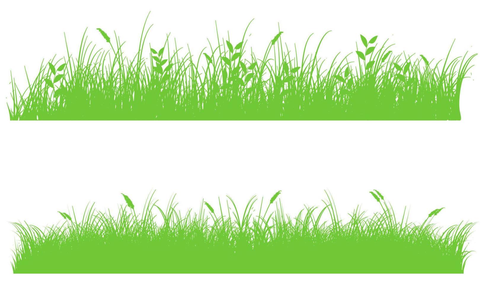 meadow, green meadow grass vector