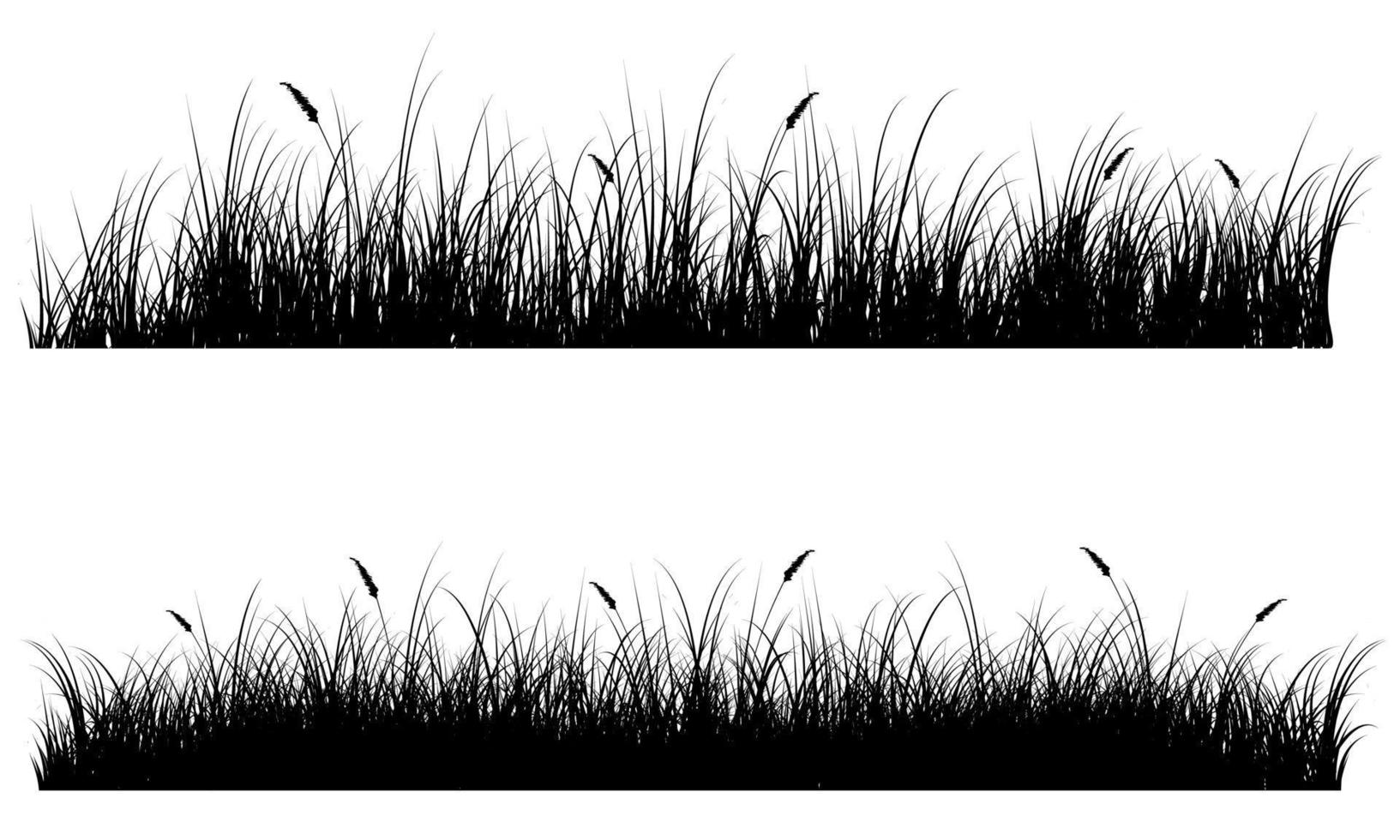 grass field, lawn vector