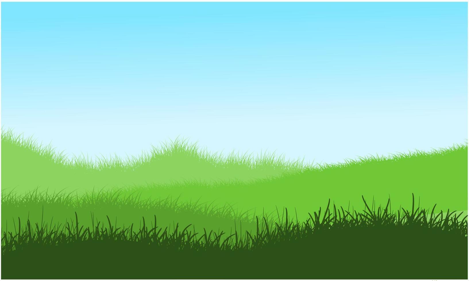 grass landscape summer vector