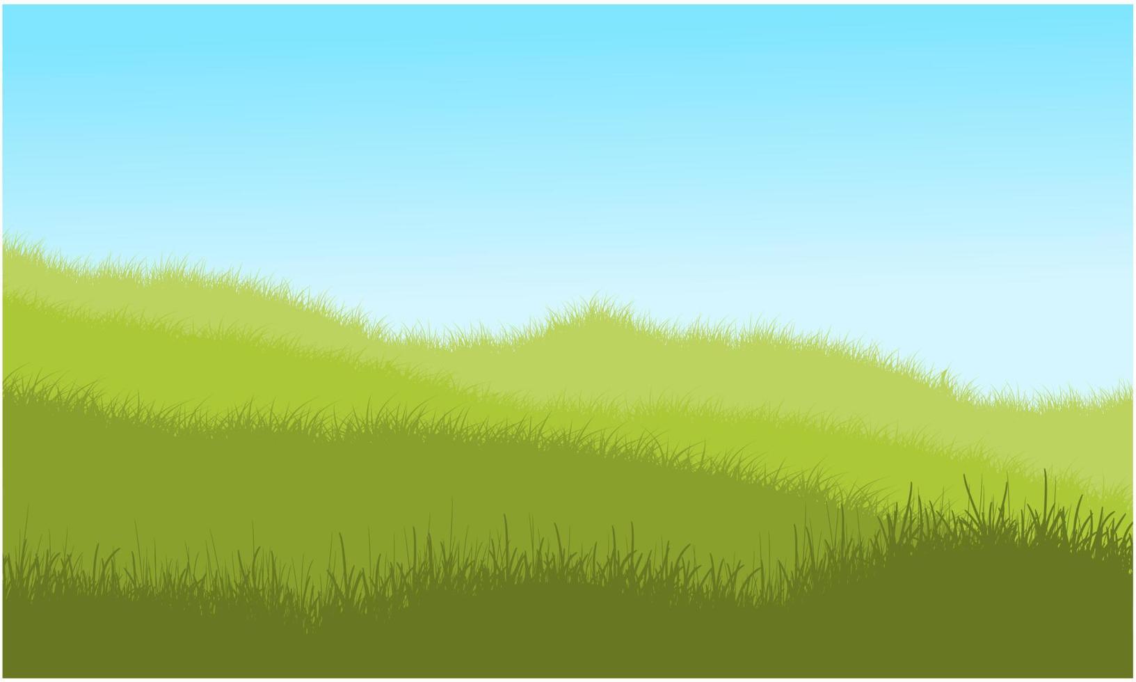 grass hill, grass lawn vector