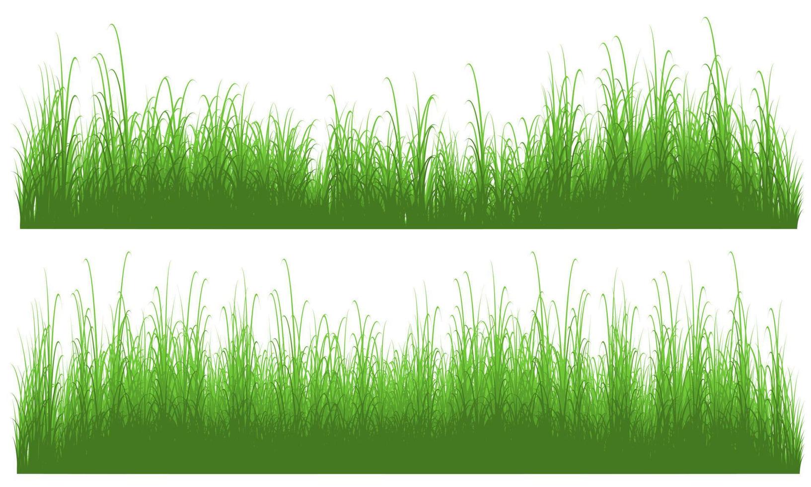 tall grass vector, meadow vector