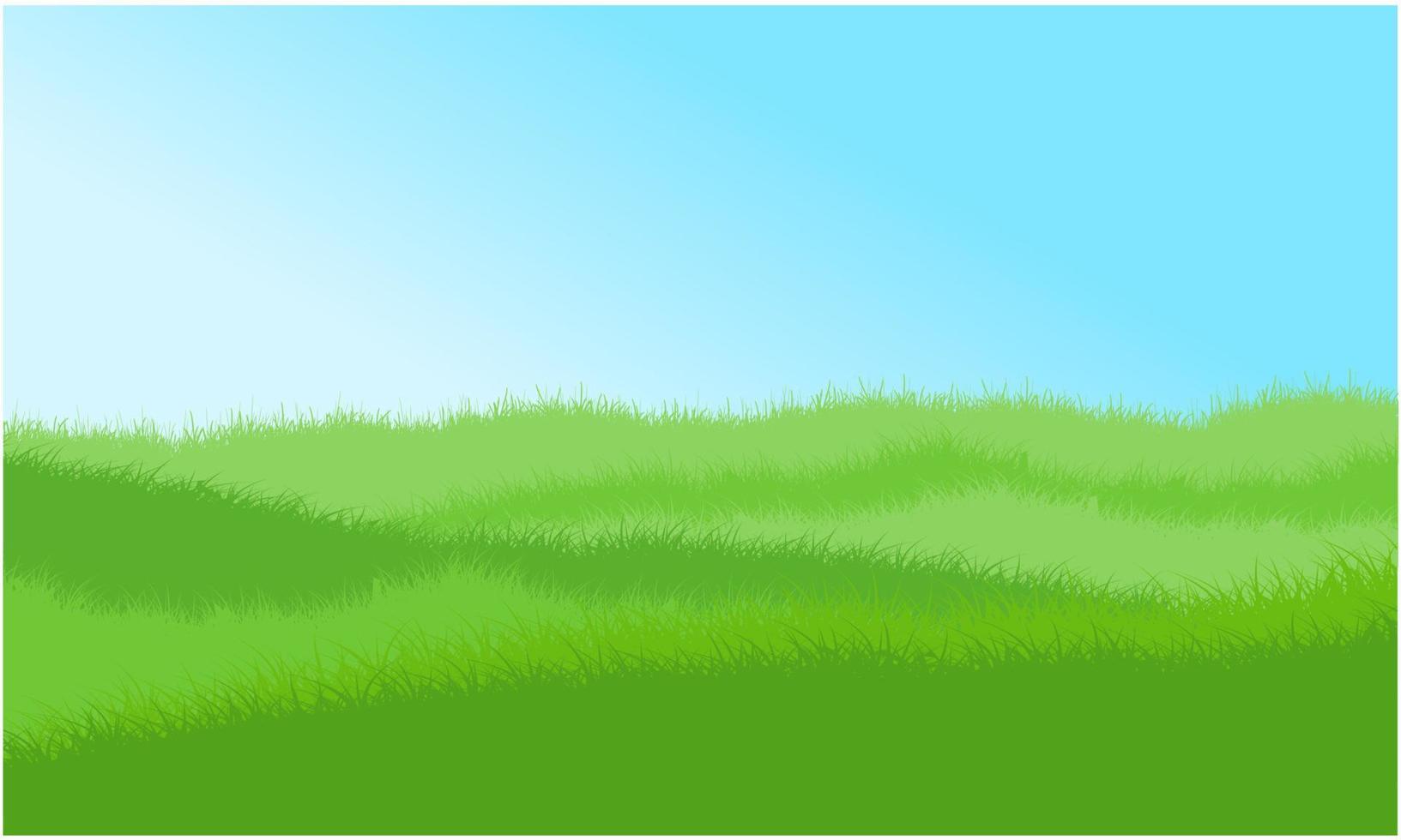 campo de hierba, césped vector