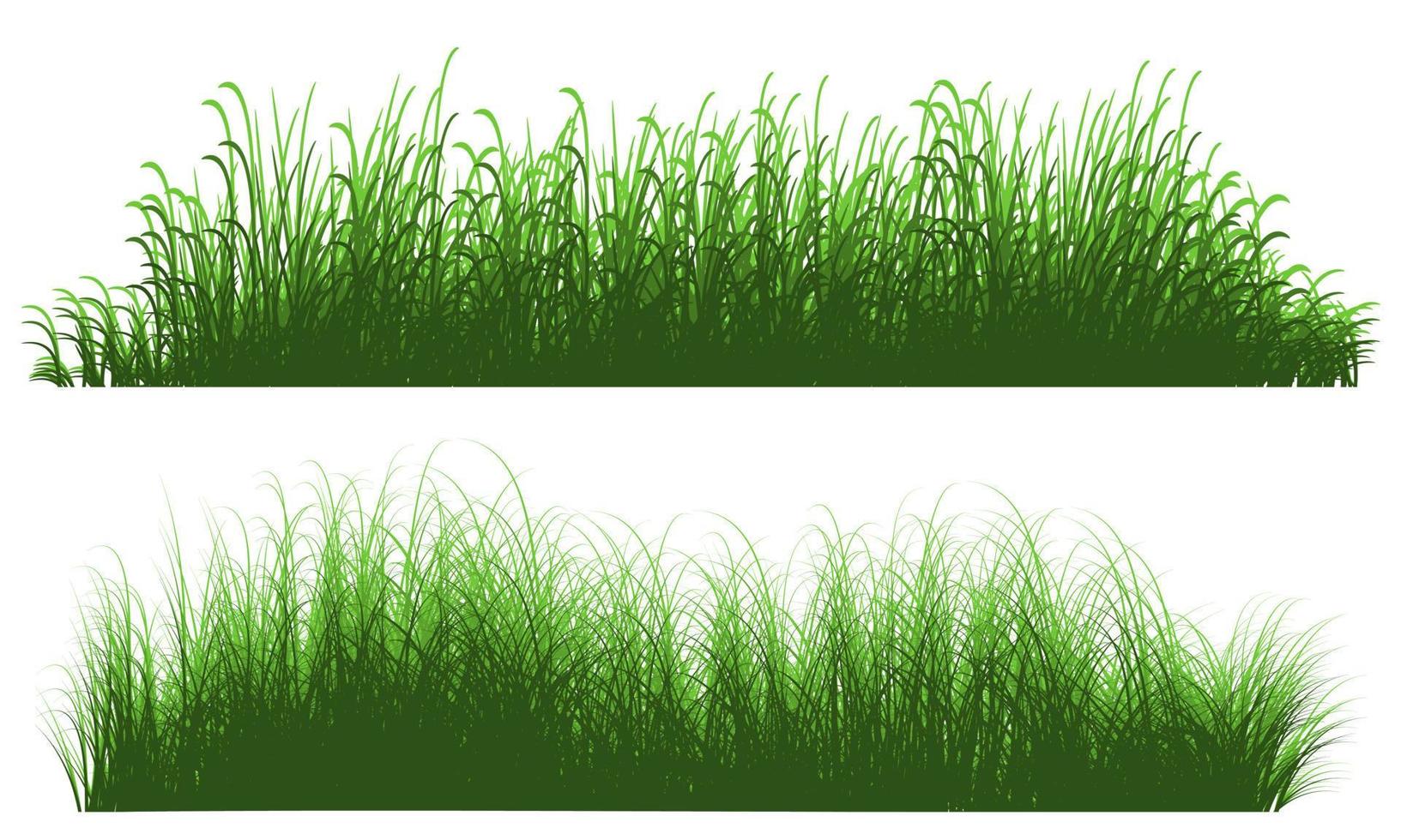 tall grass vector