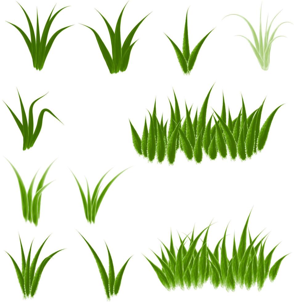 watercolor grass vector