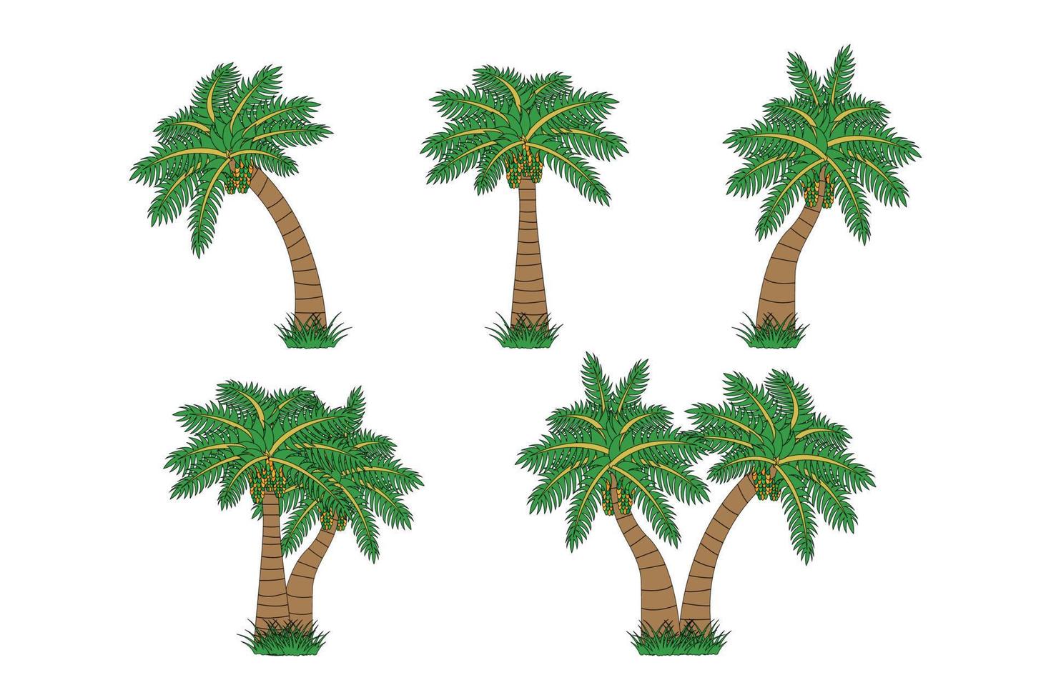 date palm tree illustrarion vector