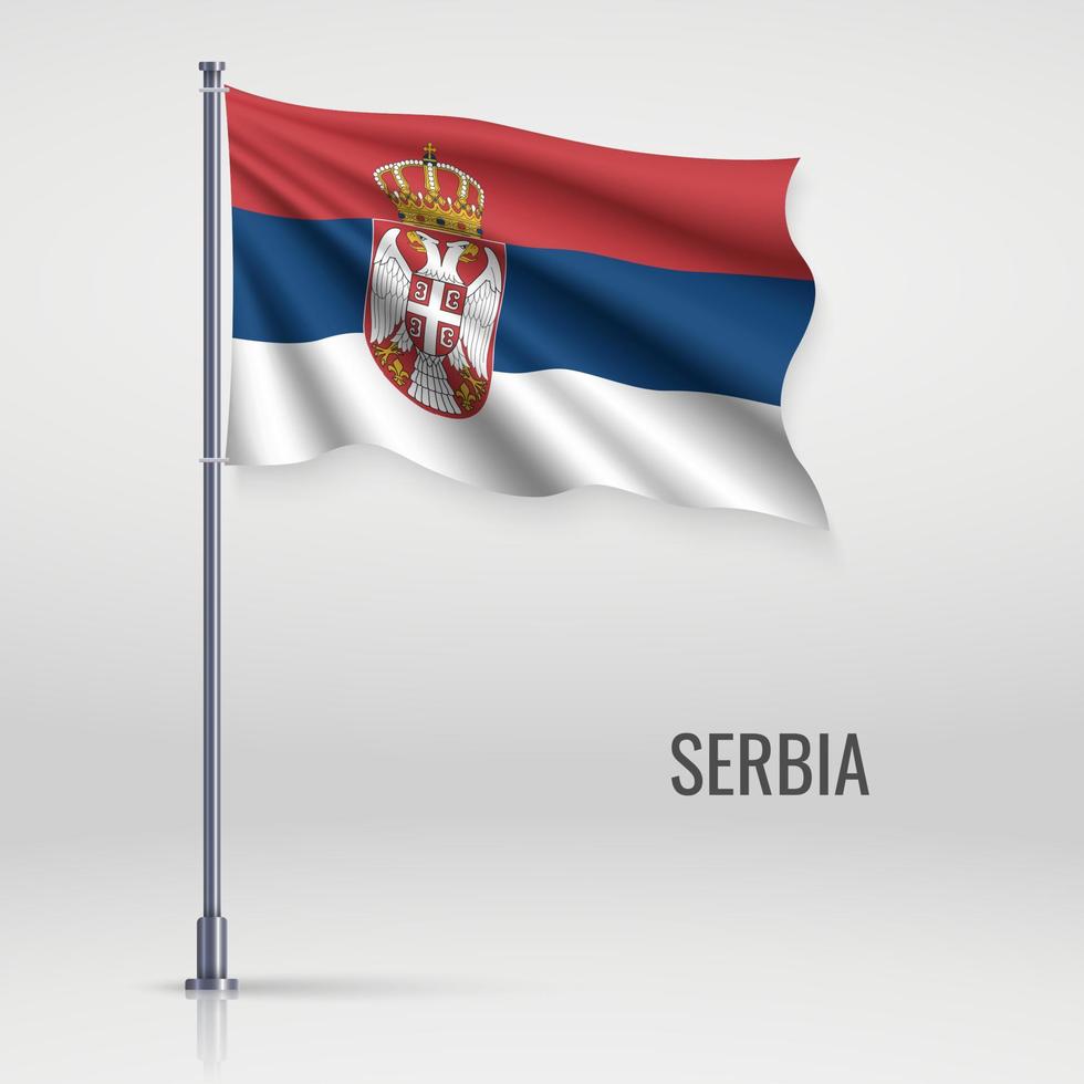 Waving flag on flagpole. vector