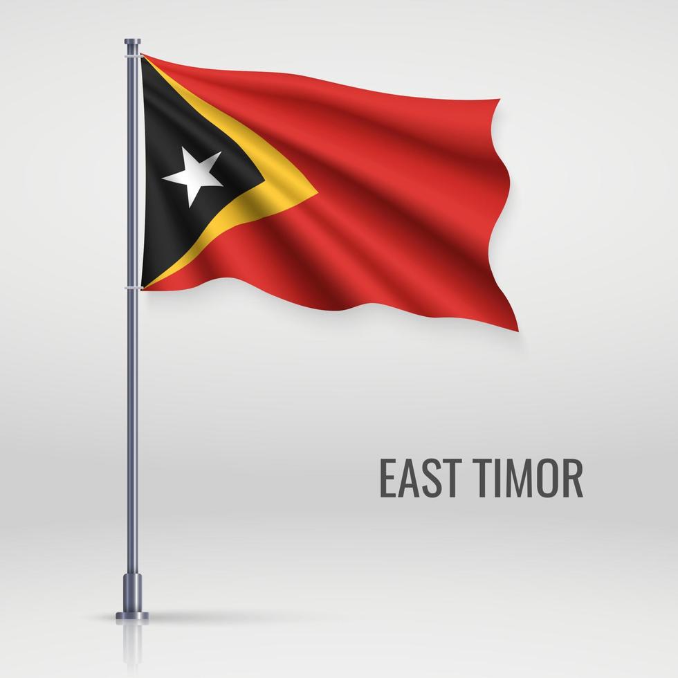Waving flag on flagpole vector
