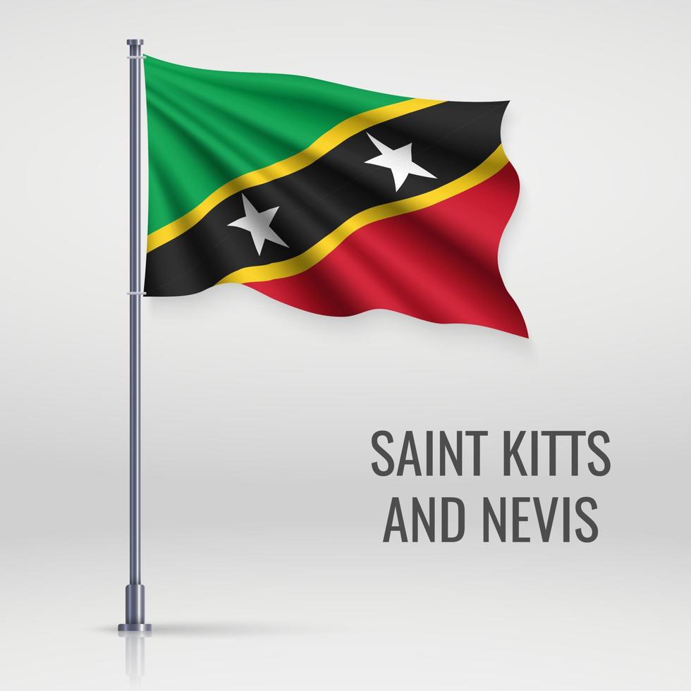 Waving flag on flagpole vector
