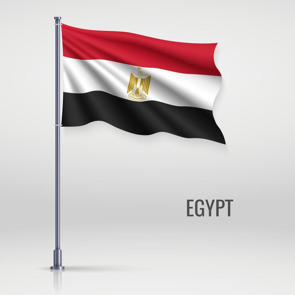Waving flag on flagpole vector
