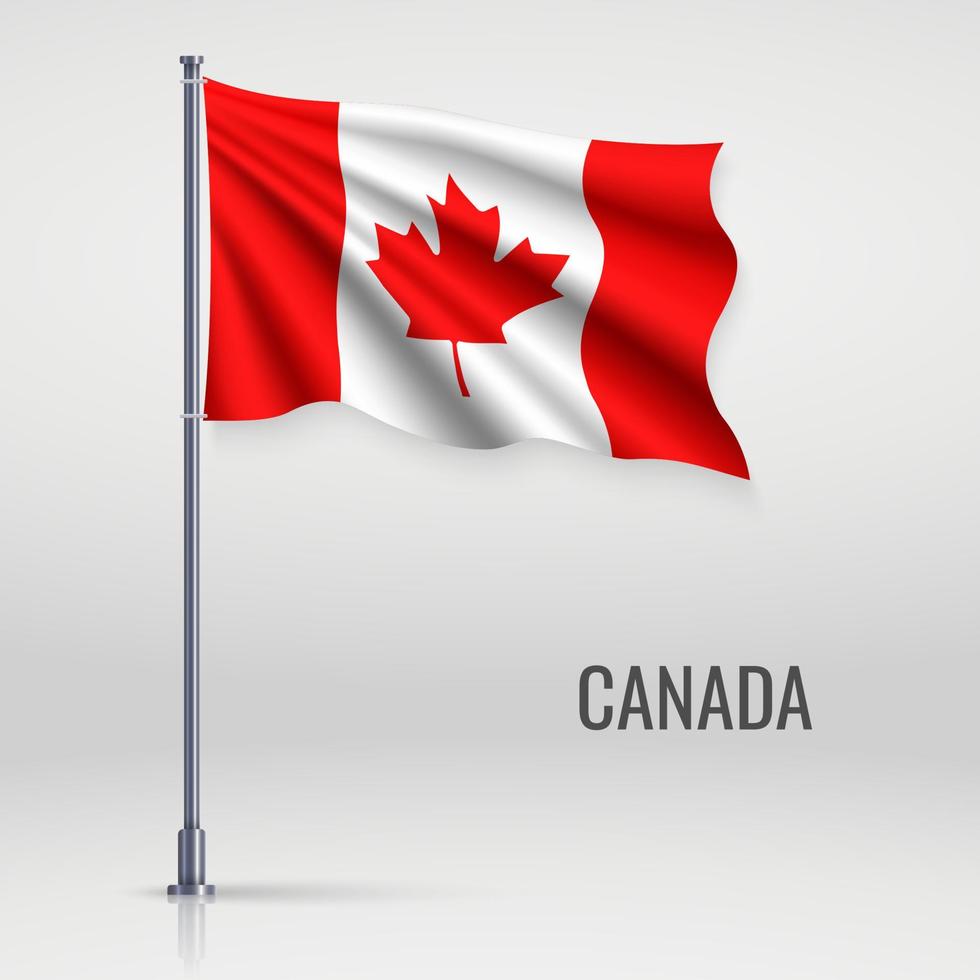 Waving flag on flagpole vector